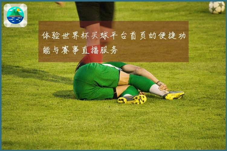 体验世界杯买球平台首页的便捷功能与赛事直播服务