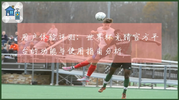 用户体验评测：世界杯竞猜官方平台的功能与使用指南分析