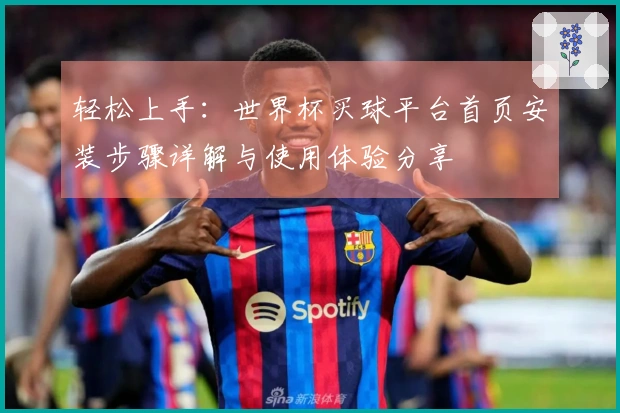 轻松上手：世界杯买球平台首页安装步骤详解与使用体验分享