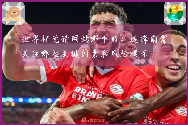 世界杯竞猜网站哪个好？选择前需关注哪些关键因素和风险提示