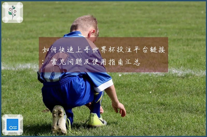 如何快速上手世界杯投注平台链接：常见问题及使用指南汇总