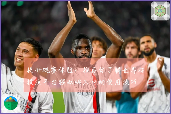 提升观赛体验，推荐你了解世界杯投注平台移动端入口的使用技巧