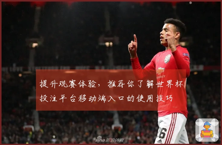 提升观赛体验，推荐你了解世界杯投注平台移动端入口的使用技巧