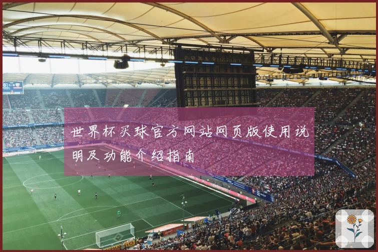 世界杯买球官方网站网页版使用说明及功能介绍指南