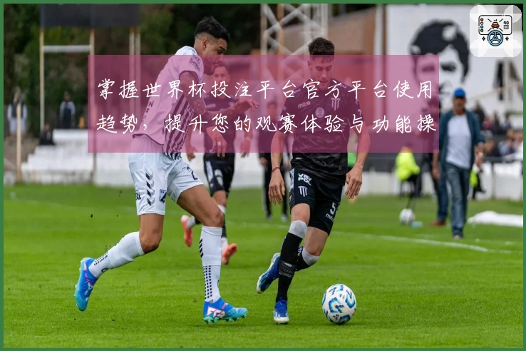掌握世界杯投注平台官方平台使用趋势，提升您的观赛体验与功能操作技巧