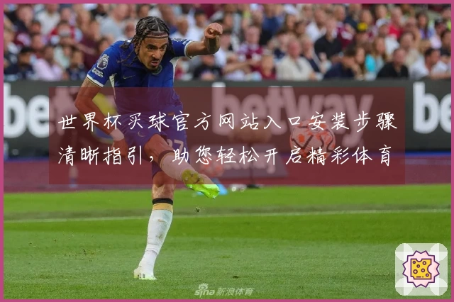 世界杯买球官方网站入口安装步骤清晰指引，助您轻松开启精彩体育赛事。