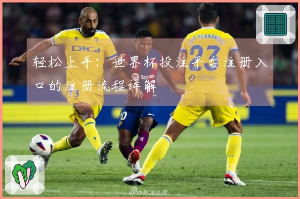 轻松上手：世界杯投注平台注册入口的注册流程详解