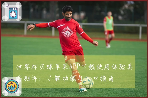 世界杯买球苹果APP下载使用体验真实测评，了解功能与入口指南