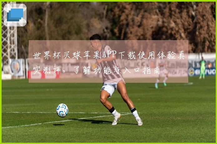 世界杯买球苹果APP下载使用体验真实测评，了解功能与入口指南