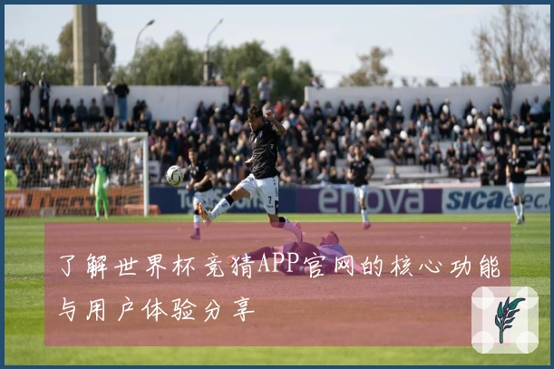 了解世界杯竞猜APP官网的核心功能与用户体验分享