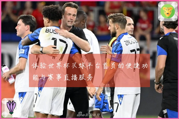 体验世界杯买球平台首页的便捷功能与赛事直播服务