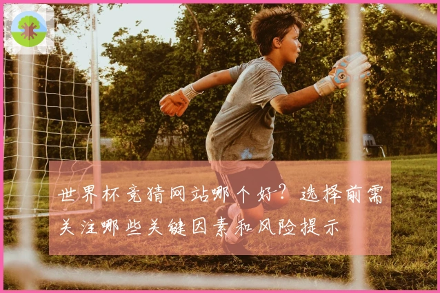世界杯竞猜网站哪个好？选择前需关注哪些关键因素和风险提示