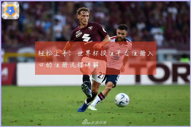 轻松上手：世界杯投注平台注册入口的注册流程详解