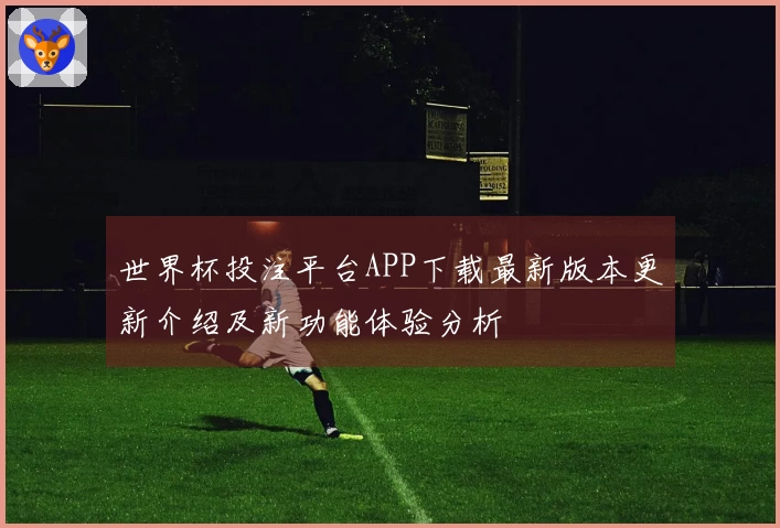 世界杯投注平台APP下载最新版本更新介绍及新功能体验分析